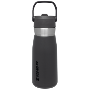 Go Flip Straw Water Bottle